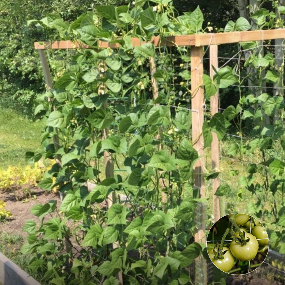 Polyester Mesh Net Loofah Netting For Morning Glory Vine Flowers Garden Plants Climbing Net Cucumber Vine Grow Holder 5/10m