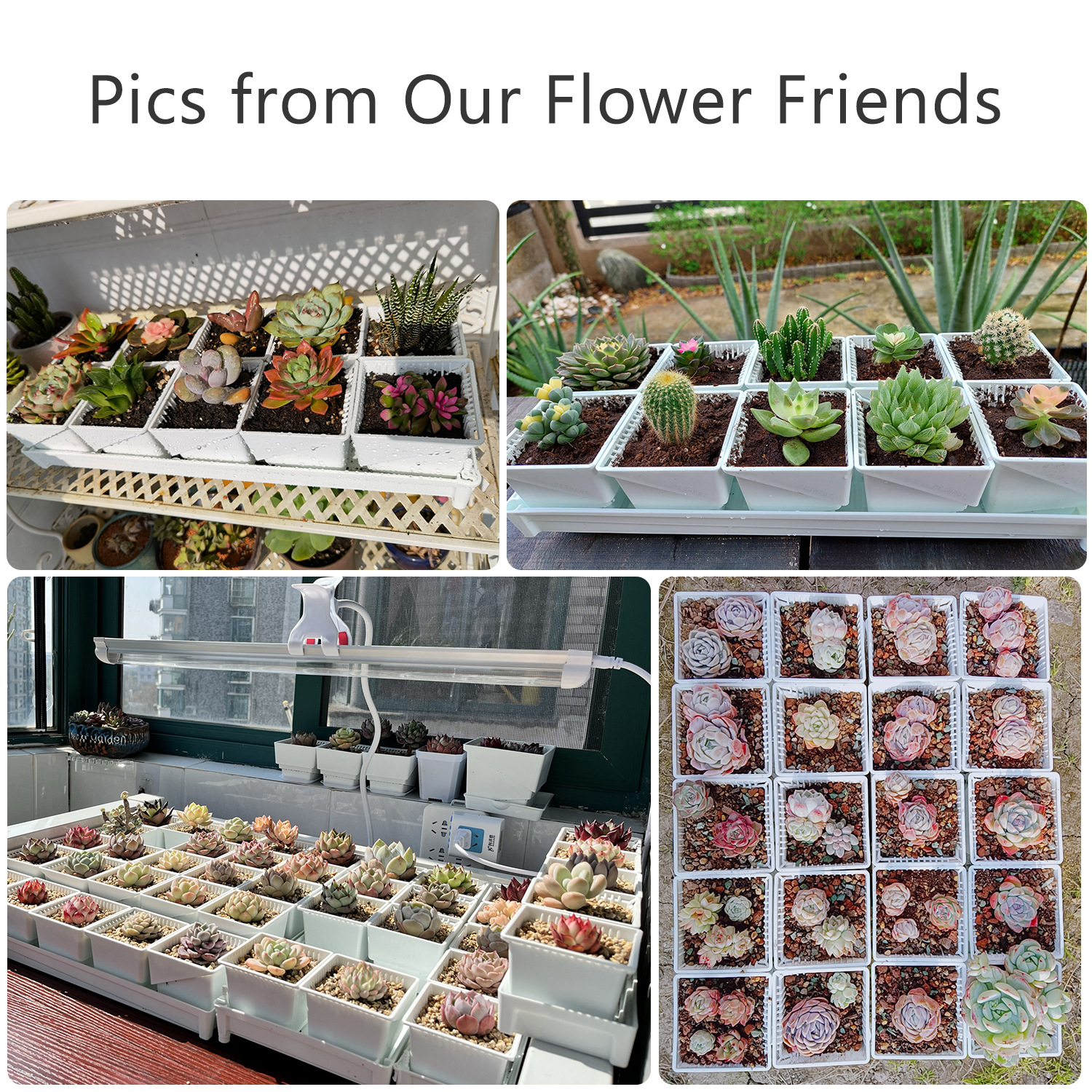 Multisize Meshpot Flower Pots Succulent Cactus Plants Nursery Pots Plant Pot with holes Garden Accessories for Home Decoration