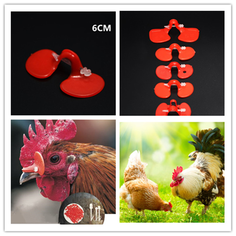 50 Pcs Kip Glazen Plastic Materiaal Geperforeerd Anti-pikken Kippen Kip Levert Apparatuur Bril