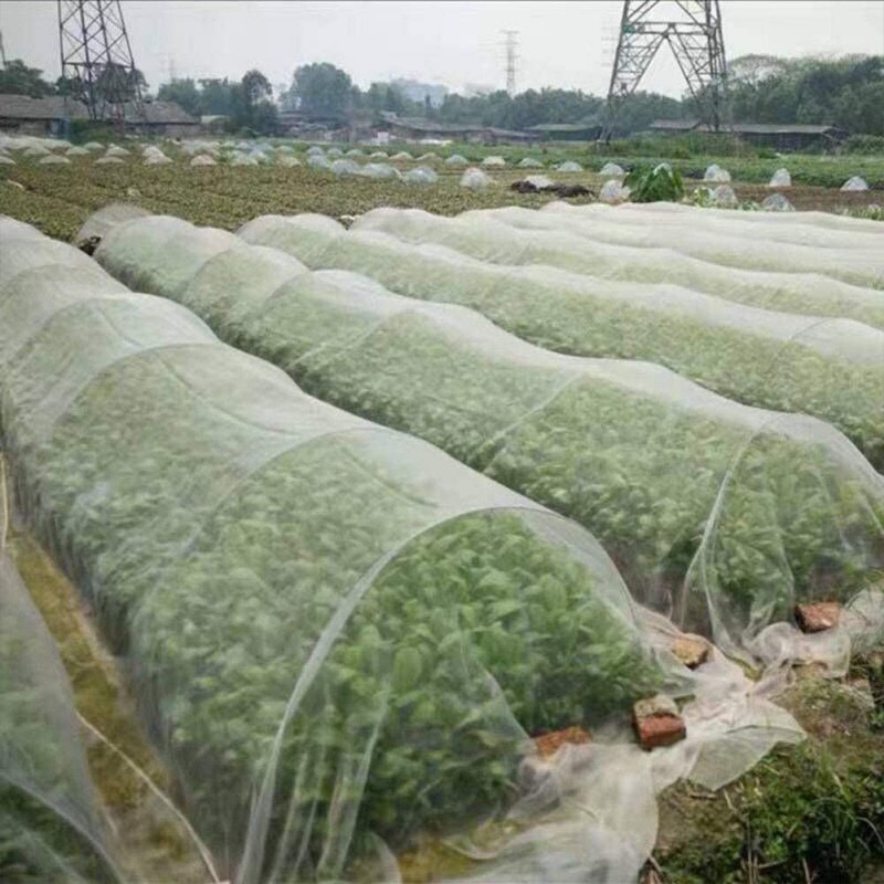 Insecte Protection filet jardin potager protéger filet 10x2.5m cultiver Tunnel maille Fine pour légumes fruits jardin fournitures H
