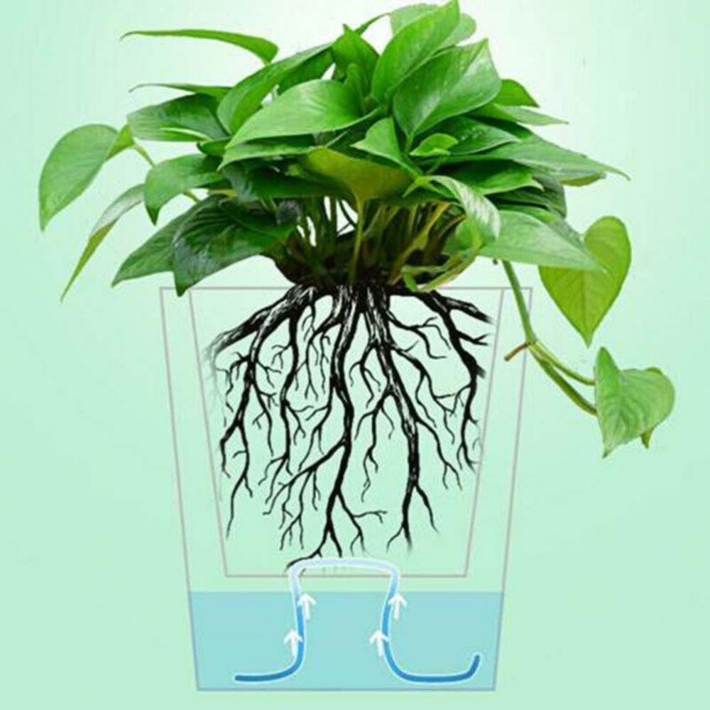 Corda per irrigazione automatica idroponica Bonsai per piante da 50cm