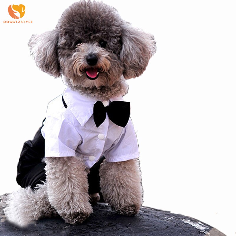 Kleding voor huisdieren, hond en kat, engelse stijl, prins, smoking, vlinderdas, puppykostuum, trouwpak, hondenpak, jumpsuit, jas voor kleine honden, maat s-xxl