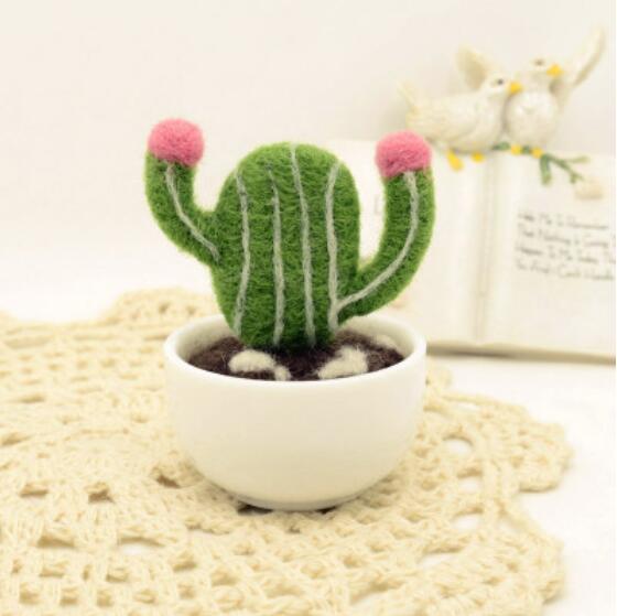 Cactus vlezige plant mini-pot wolvilt wollen borduurset wolvilt naaldvilten decoratie knutselen handwerk diy: B