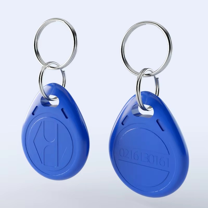 Tarjeta de Control de acceso RFID de 125KHz, llavero EM4100, Chip de solo lectura, etiqueta de identificación, tarjeta de proximidad para Control de acceso, tiempo de asistencia, 10 Uds.
