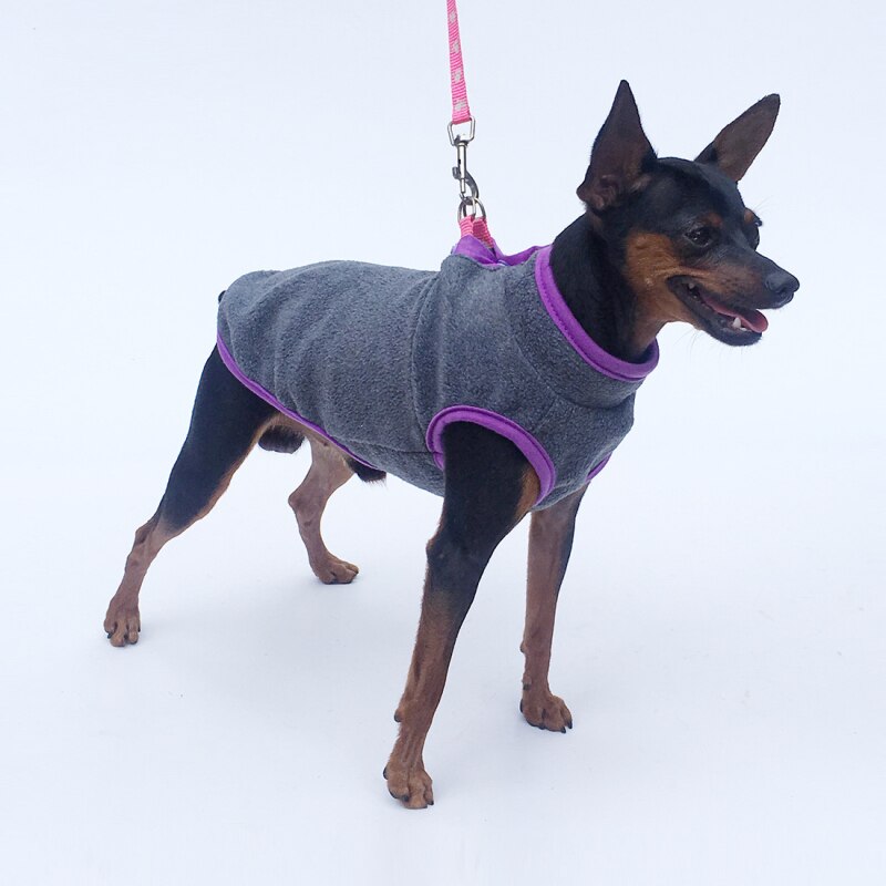 Zachte hondenhoodie, fleece, huisdierkleding, hondenkleding, kat, chihuahua, yorkshire dwergpinscher, pomeriaankostuum, huisdieroutfit