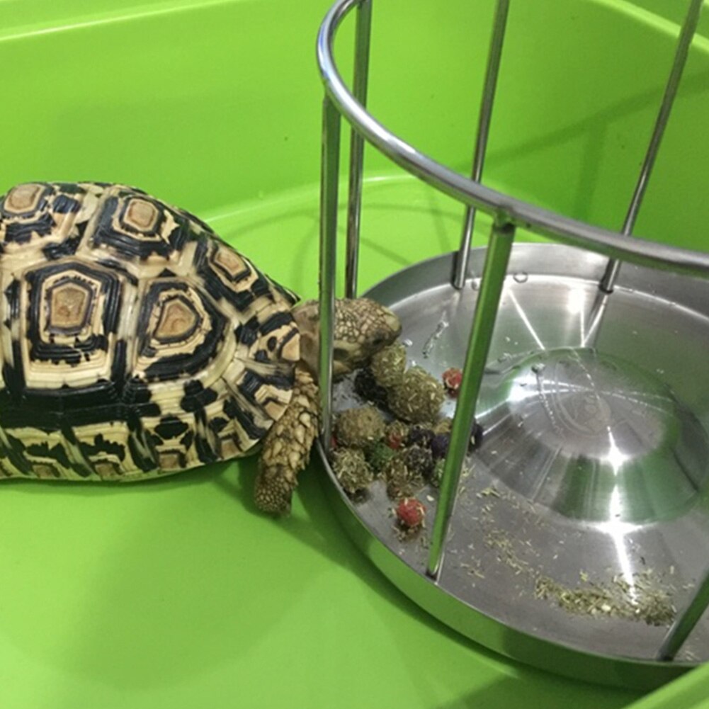 Dispenser let rengøring skildpadde skildpadde foderskål bassin bakke rustfrit stål rundt hjem vand mad fad udendørs kæledyrsforsyning