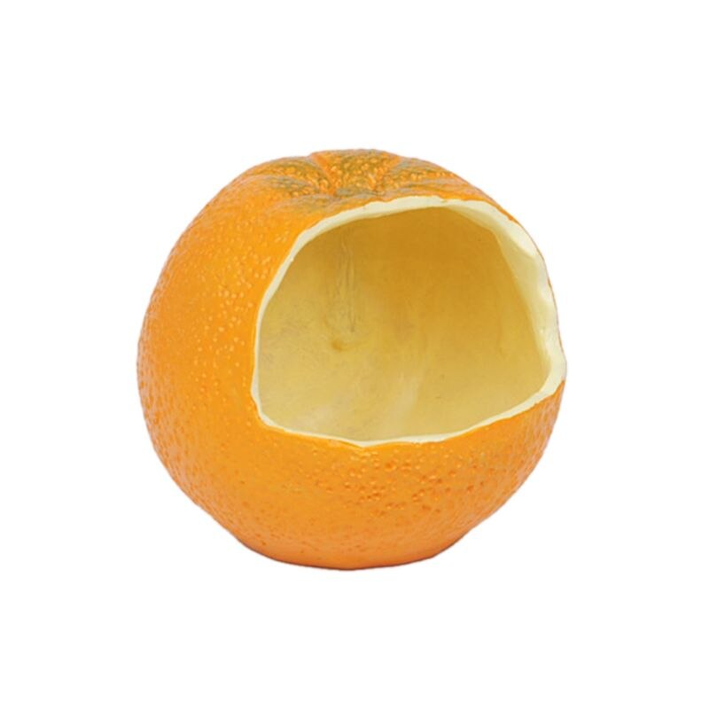 Grappige fruitvormige vogel papegaaienvoederkooi voer water voerbak container