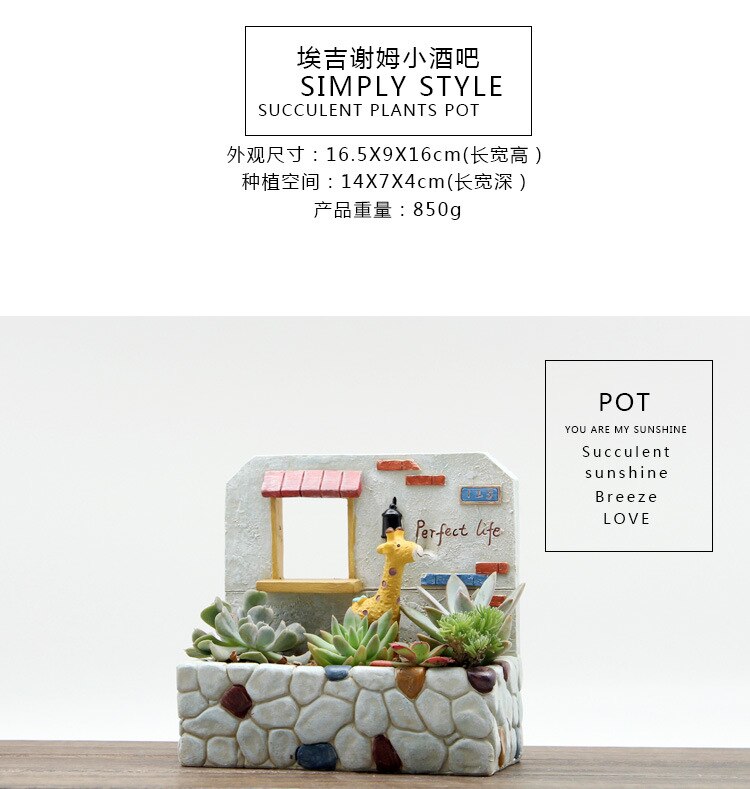 Meinem Garten Szene Mehr Fleisch Hängen Kreative Japanischen Pflanzen Blume Implementieren Grünen Topf Blumentopf in Persönlichkeit