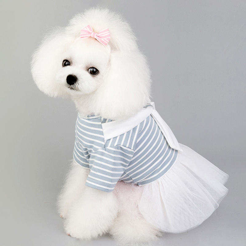 Lente En Zomer Dunne Pet Dog Kleding Wit Boog Gestreepte Hond Rok Gaas Rok Bichon Teddy Kleren Huisdier Kleding Voor honden