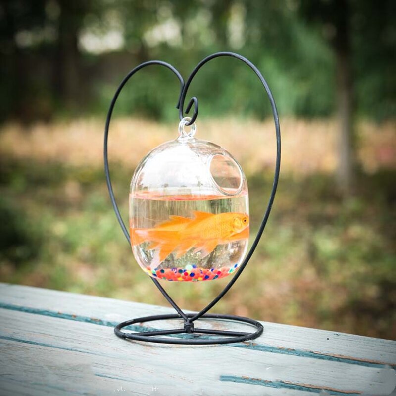 Ecosphère boule de poisson rouge suspendue | En forme de amour, Vase de fleur d'aquarium, bol de Table pour petit animal de compagnie, accessoire: WHITE