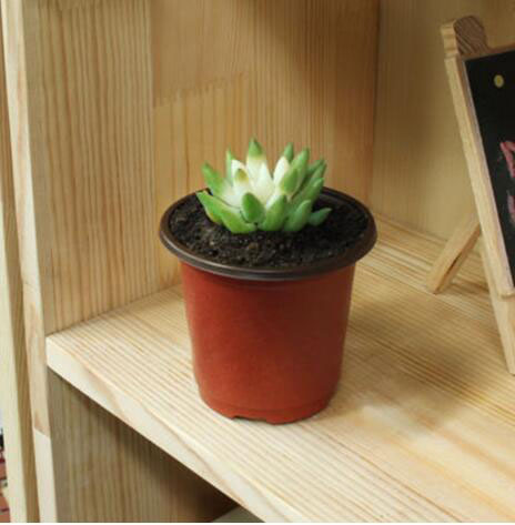 20pcs/50pcs Plastic Grow Box Fall Resistant Tray For Home Garden Plant Pot Nursery Transplant Flower Pots