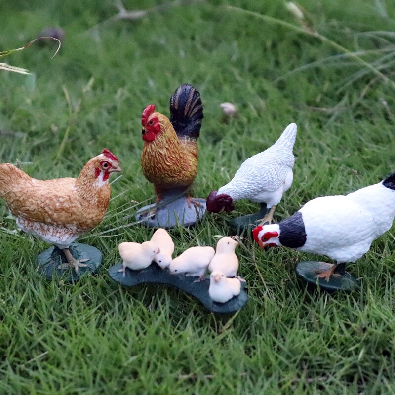 Oenux GeflüGel Hahn Henne Huhn Truthahn Bauernhof Tiere Modell Aktion-figuren Pädagogisches Sammlung freundlicher Spielzeug