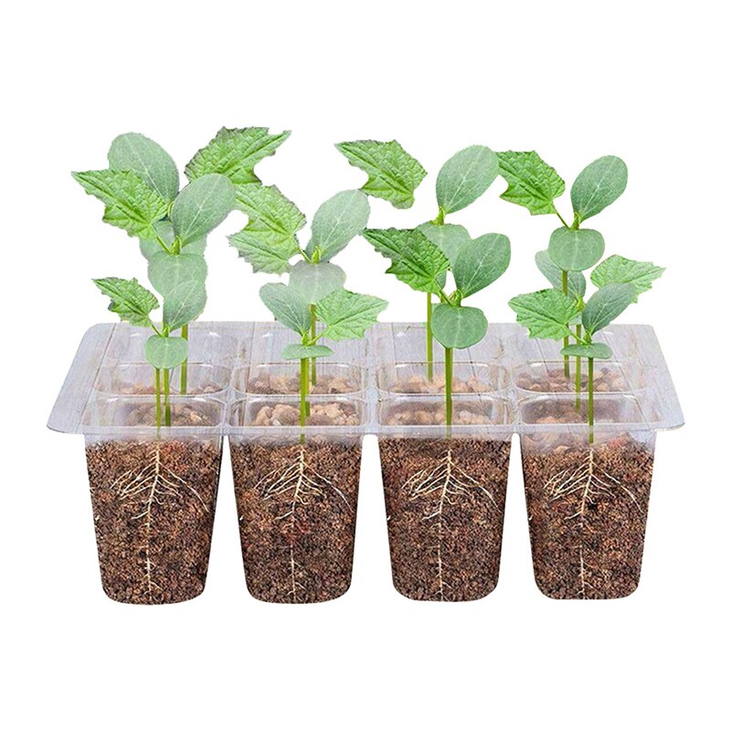 6/12 agujeros vivero protector de cultivo de semillero bandeja Extra fuerza la germinación de la semilla macetas para flores y plantas herramientas para el jardín