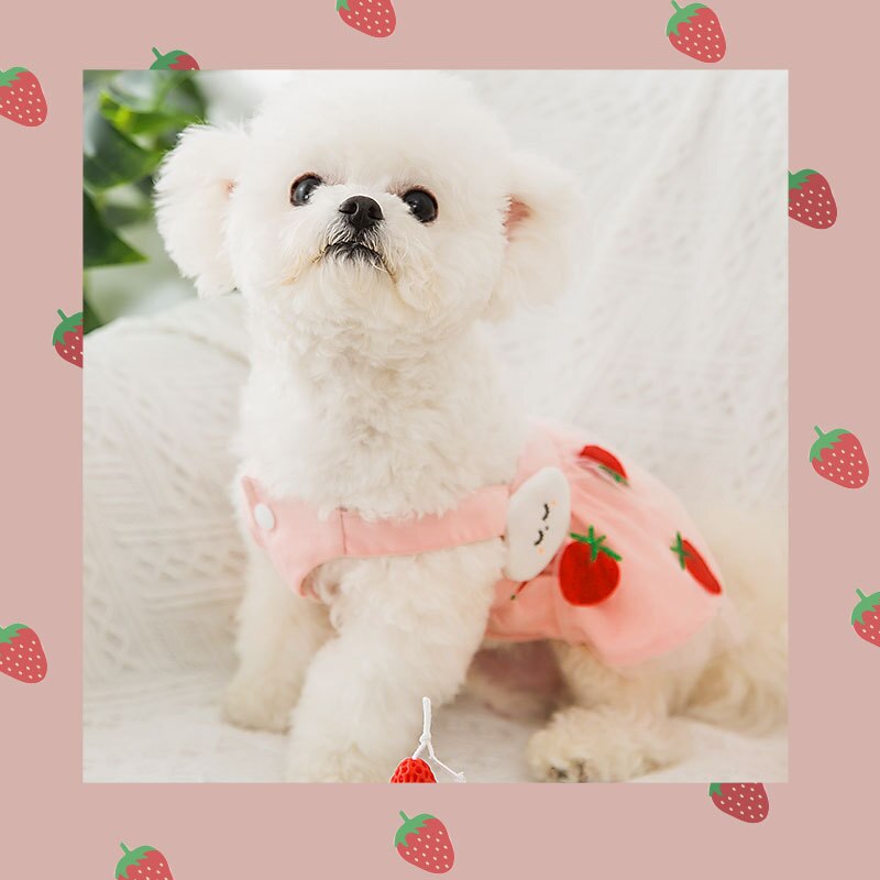 Vestidos con bordado de fresas para perros pequeños, ropa para Chihuahua, Yorkshire, accesorios para mascotas
