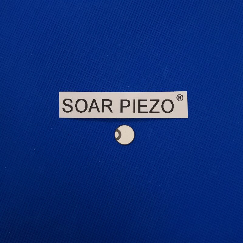 Ultrasone Piëzo-Elektrische Keramische Disc 12*5MHz-PZT4 Piëzo Disc Pzt Kristallen Sensor Element Pzt Schoonmaken Zender Chips
