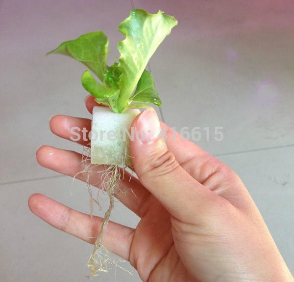 Cubes en mousse pour démarrer les semences, éponge de pépinière pour système hydroponique, semis, culture sans sol (pack de 117 pièces)