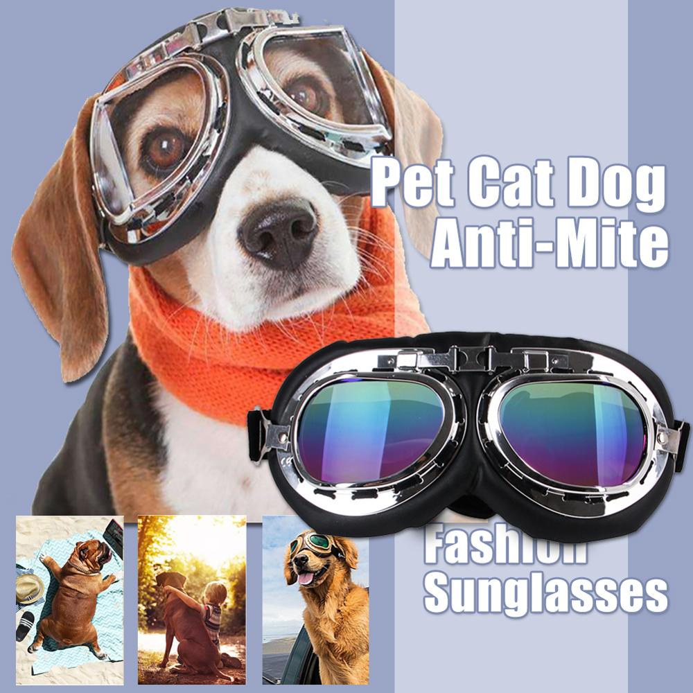 Kæledyr kattehund anti-mide motorcykel vindtætte solbriller hundebriller uv beskyttelse camping bærbare justerbare kæledyrsglas