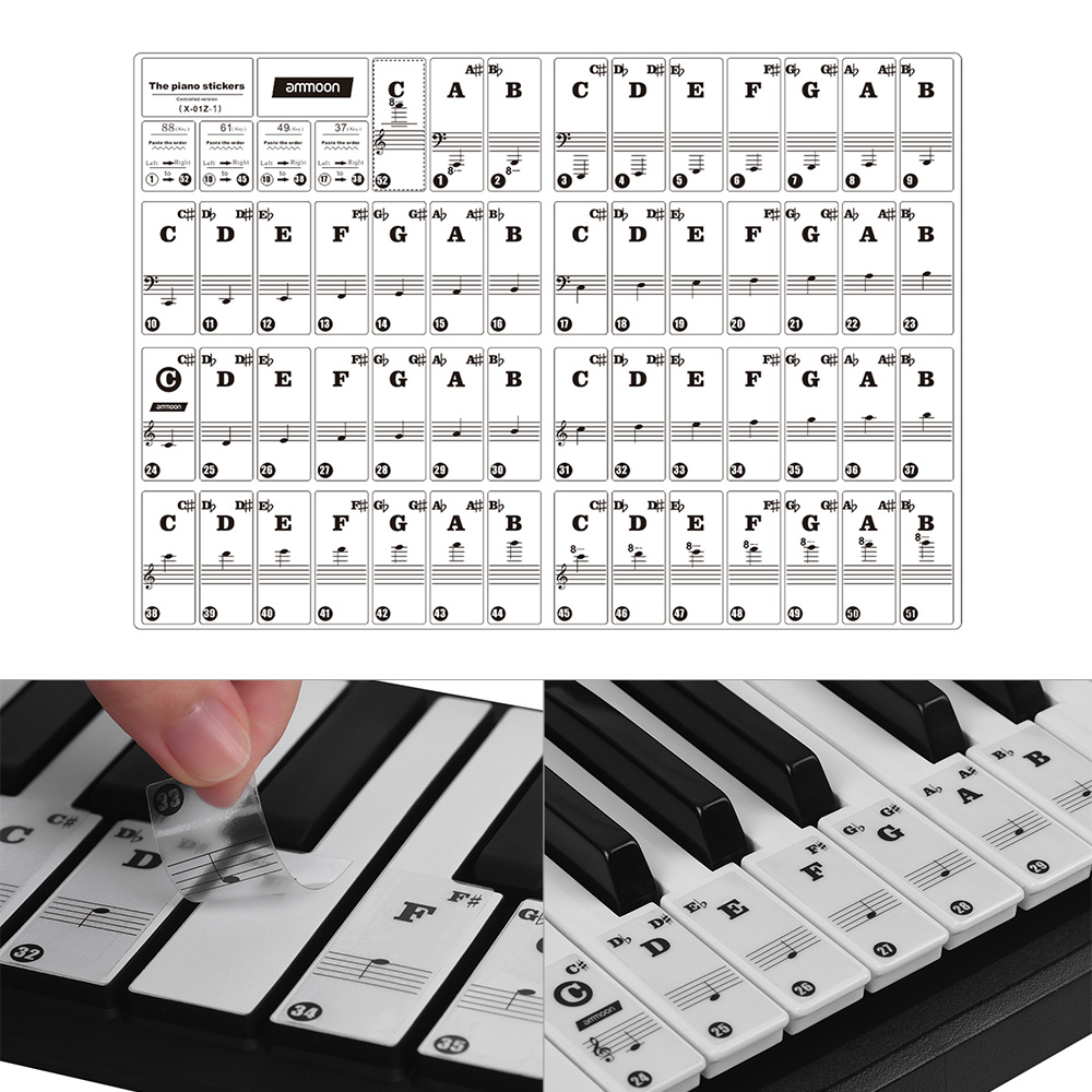 Ammoon-pegatinas de Piano para niños, pegatina de Teclado extraíble para teclados de 37/ 49/ 61/ 88 teclas, transparente, para Aprendizaje de práctica de Piano