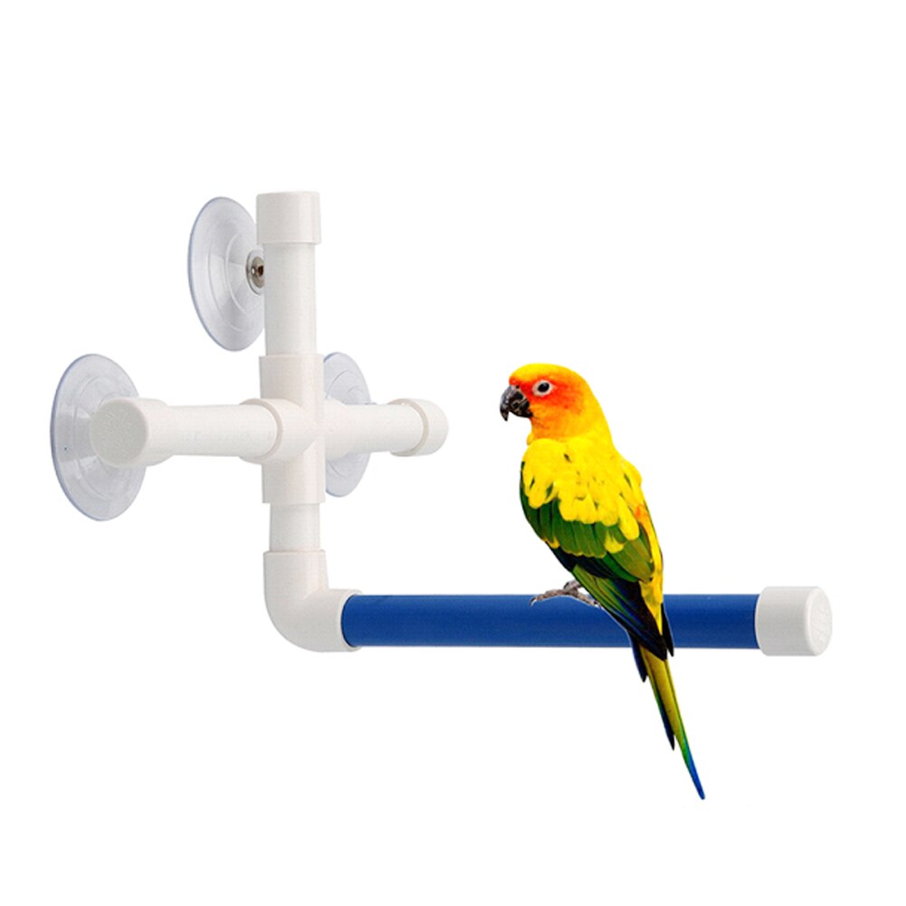 Værktøj tilbehør fuglforsyninger papegøjer brusebad stang kæledyr fugl fast form aborre med sugekop badning forsyninger kæledyr