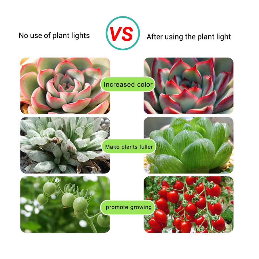 5v usb led vækstlys fuldt spektrum led strip 2835 60 leds/m phyto lampe til planter desktop vækst lys frøplante blomster plante lampe