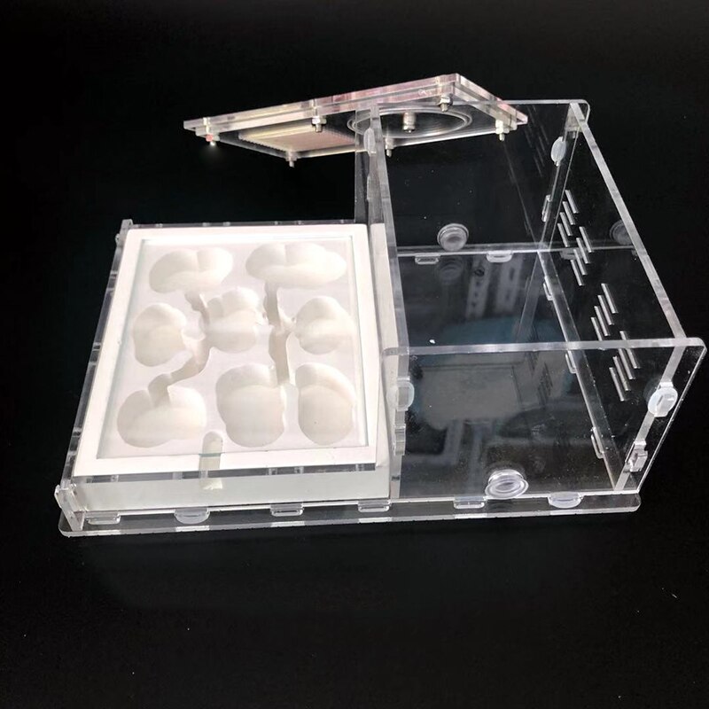 Transparent Ant Nest Gypsum Nest Ant Villa Acrylic Flat Nest Ant Small Community Feeding Nest Ants Farm House