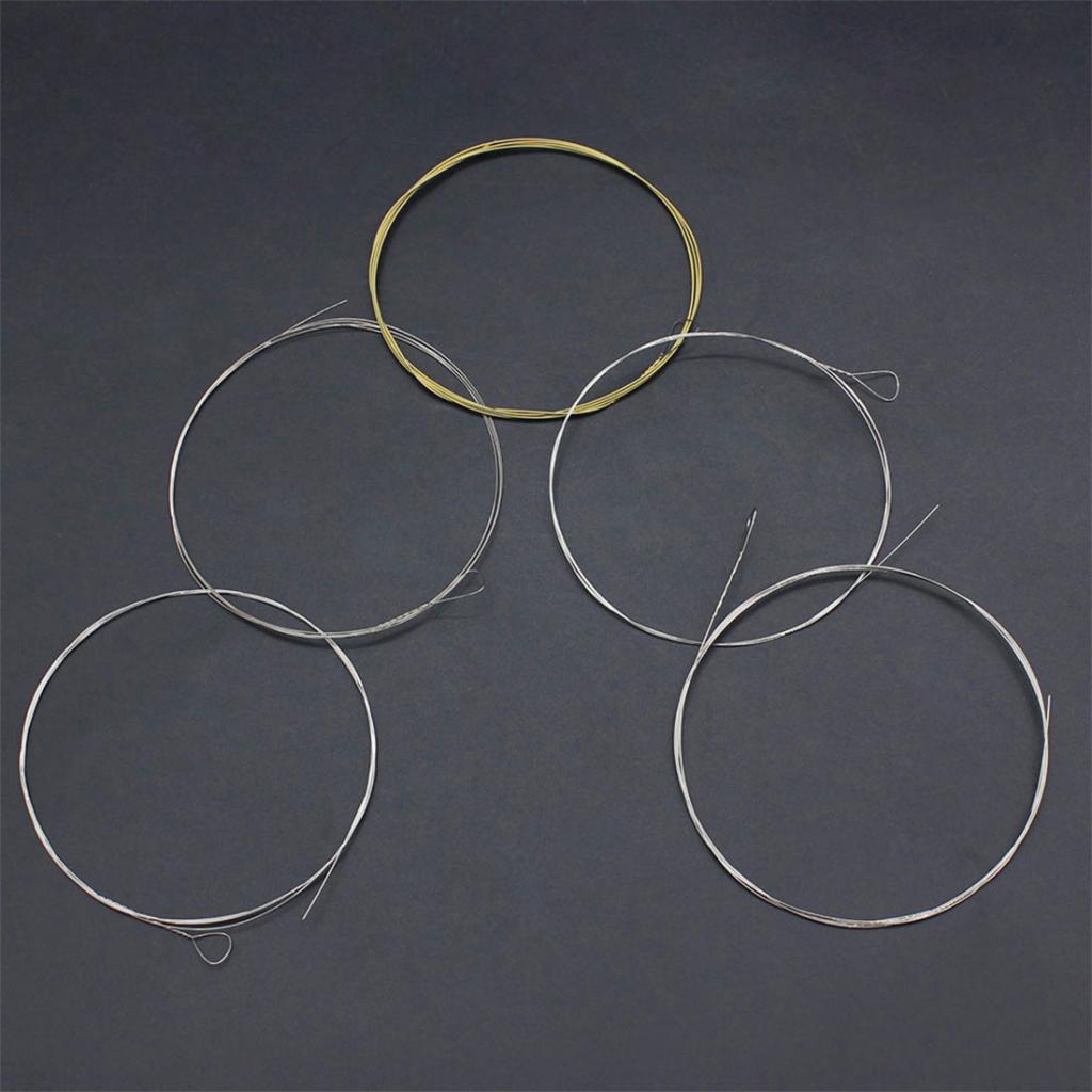 Banjo String Rvs Duurzaam 5String Banjo Strings Backup Accessoire
