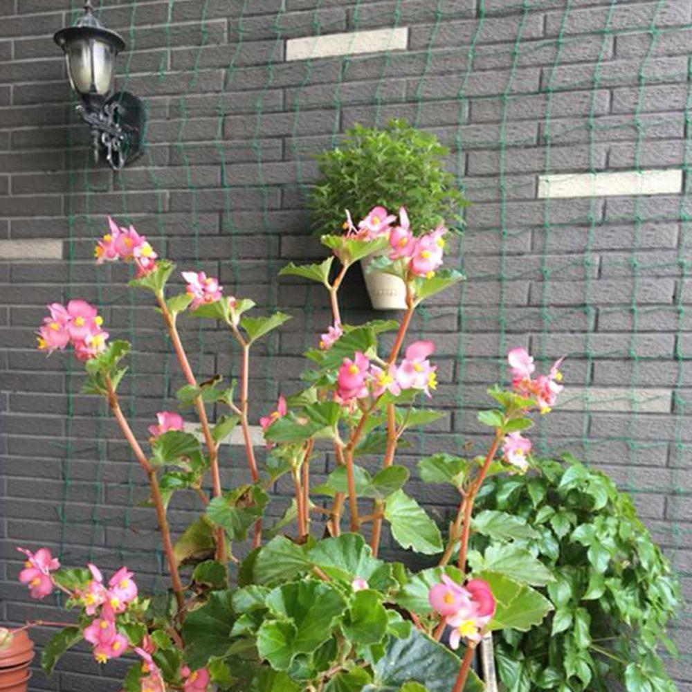 diverso dimensioni di Melone Frutta Gloria di Mattina Vite Fiore Netto Cetriolo Traliccio Compensazione Pianta Reti Arrampicata Forniture Da Giardino