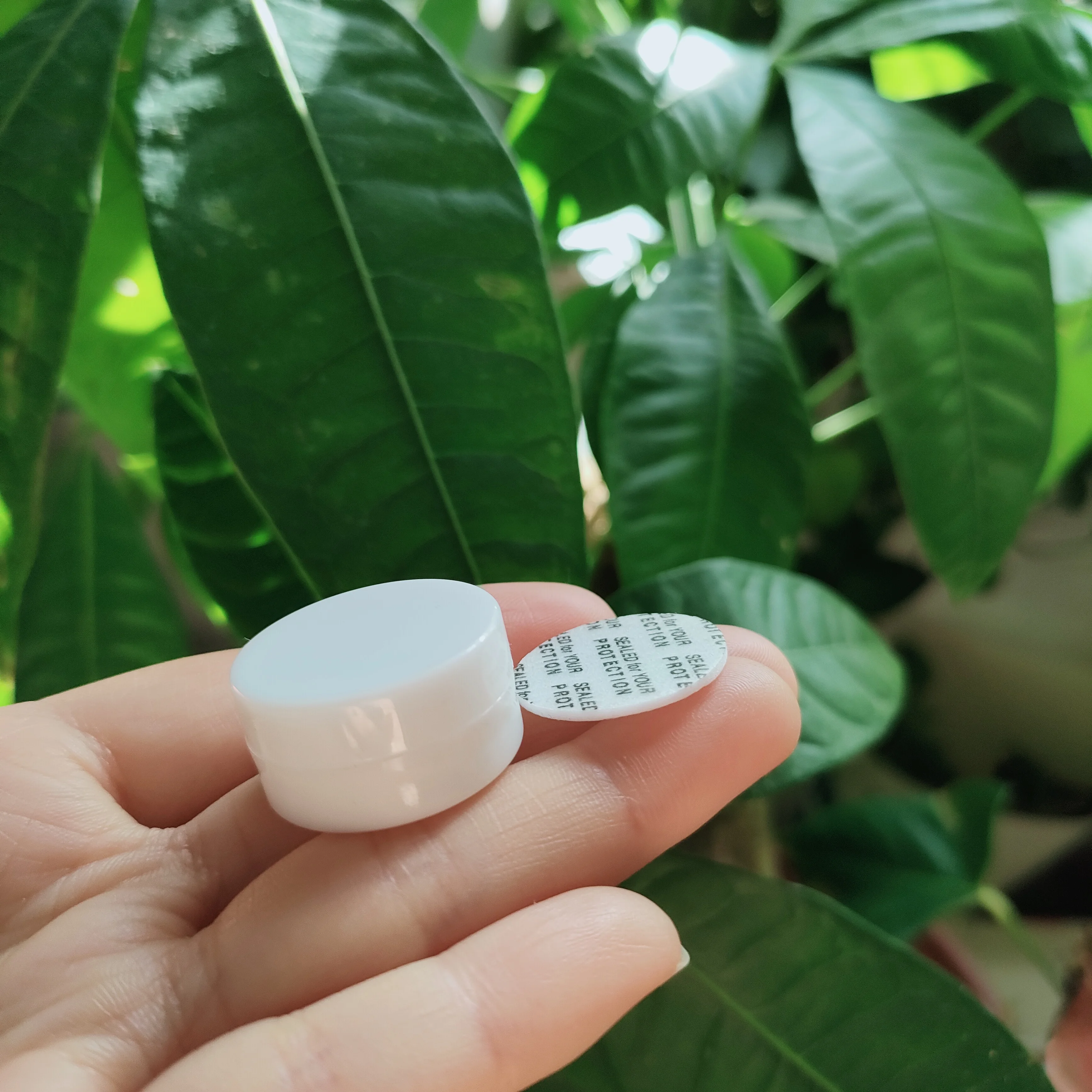 Mini frascos de crema vacíos, latas pequeñas de muestra, contenedor de embalaje de cosméticos, maquillaje DIY, blanco y negro, 1g: Verde claro / 40 ml