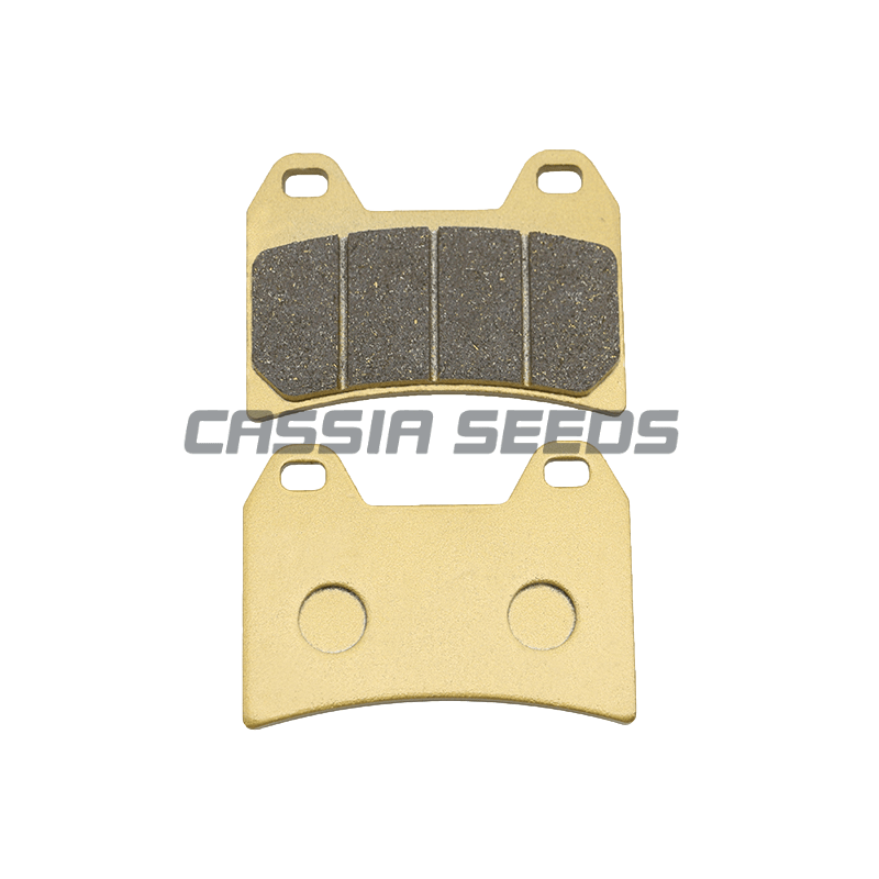 Motorcycle front and rear brake pads for Ducati 696 Monster 750 Supersport 796 800 848 Street Fighter 900 ST2 ST3 ST3S S4 ST4S: army green