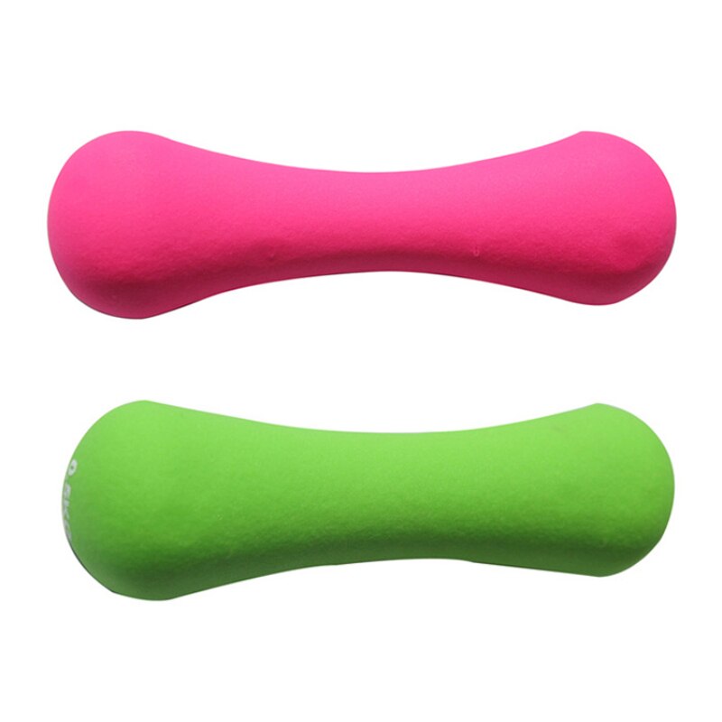 Haltère osseux 2 pièces pour femmes, poids, équipement d'entraînement physique, bras fin, poids, musculation en intérieur, 750g