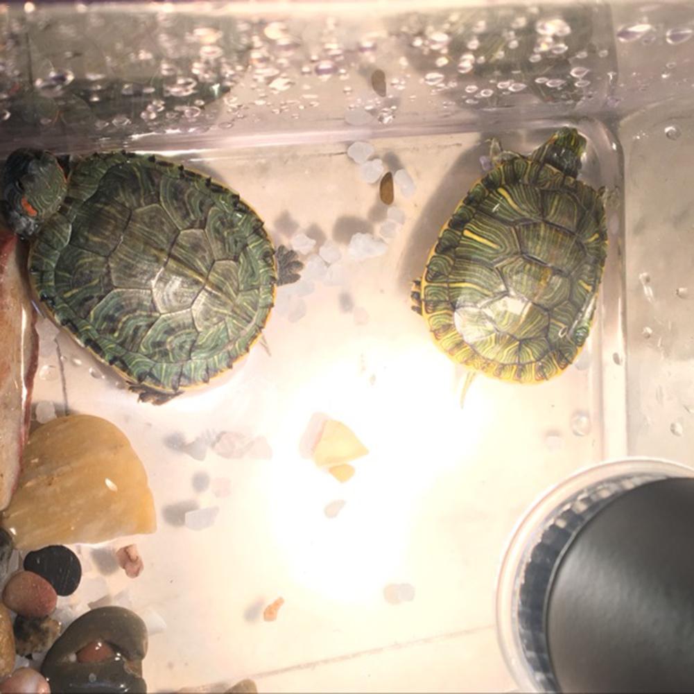 Lámpara de calefacción para reptiles E27 de 220V, luces de quemadura solar de tortuga UVB ajustables de espectro completo, iluminación de preservación de calor