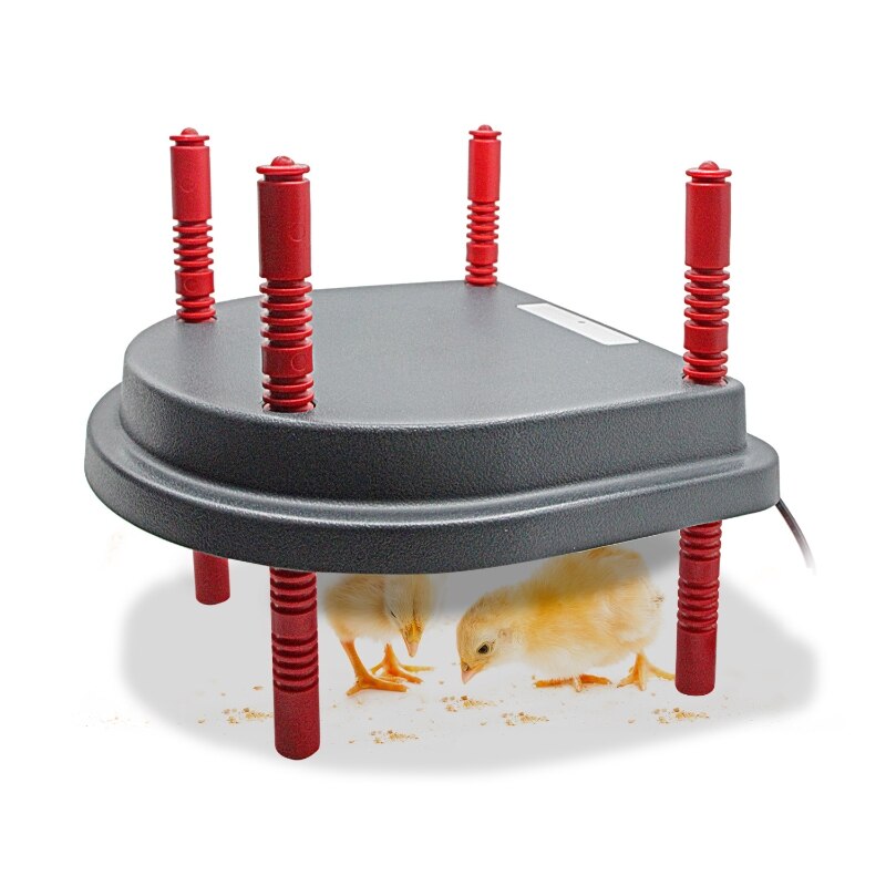 Electric Chick Brooder Heating Plate Chick Ducklings Cage Warmer Temperature Control Roost Cone Adjustable Height Warm 15 Chicks