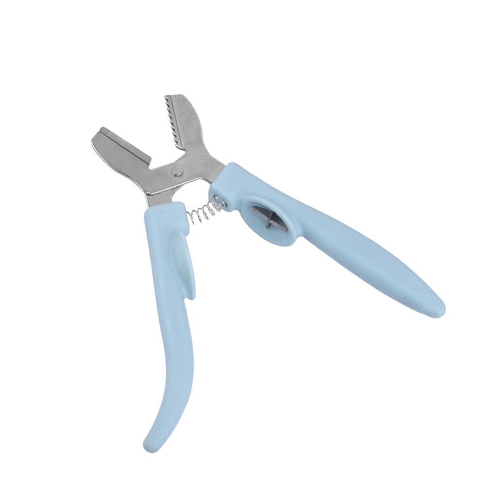 Stainless Steel Chestnut Clip Plastic Stainless Steel Walnut Clip Sheller Chestnut walnut Opener kitchen tool: Sky Blue