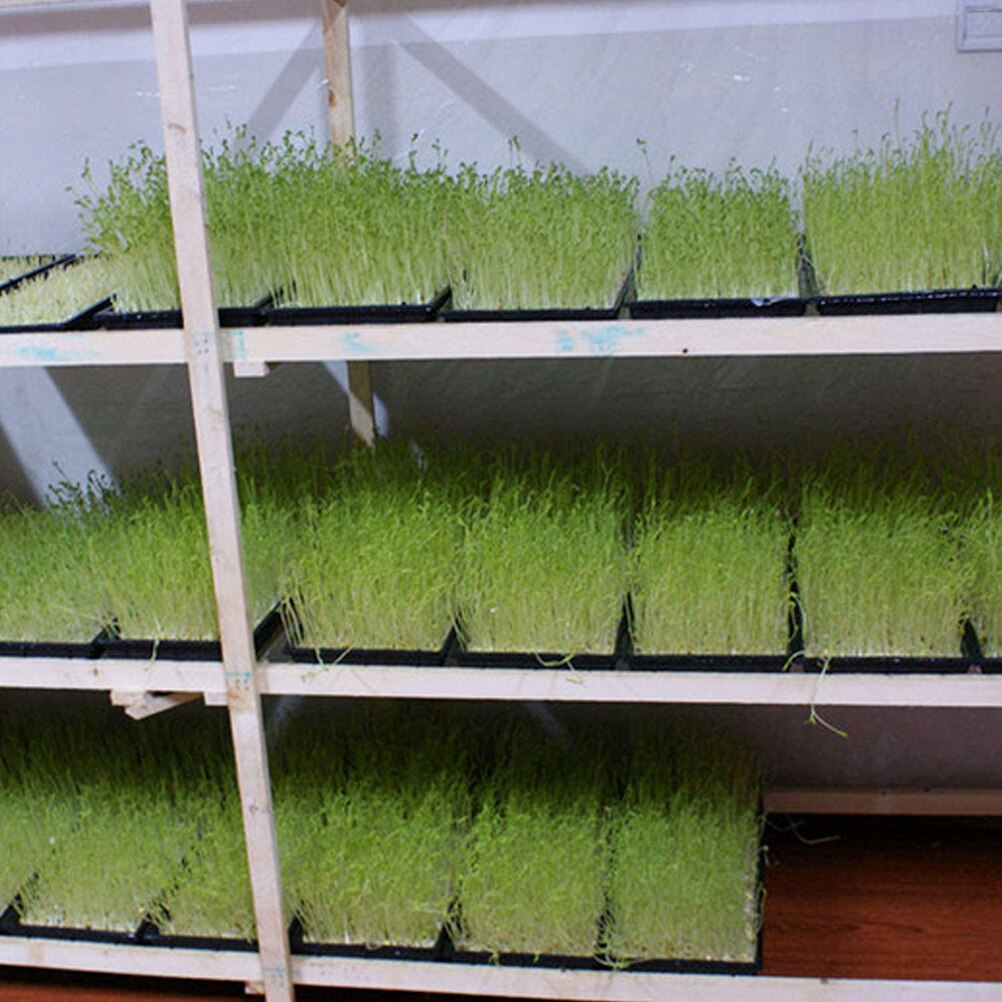 2pcs 54cm Seedling Tray Starting Trays for Planting Seedlings Propagation Germination Plugs Seedling Tray for Microgreens Soil