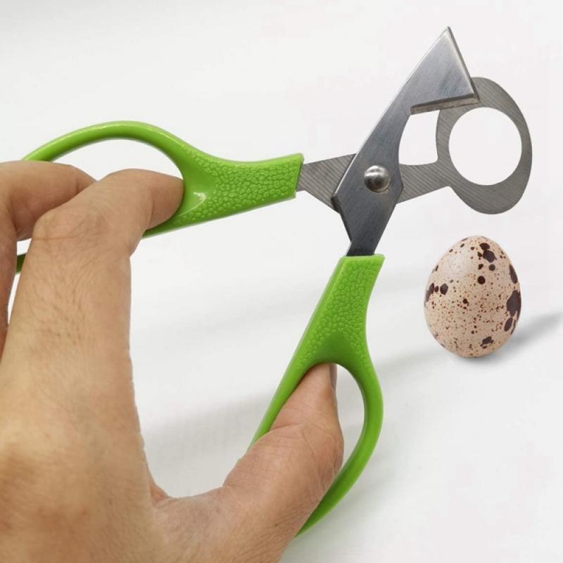 Ouvre-ciseaux pour œufs de caille, outil de ciseaux pour œufs de Pigeon, gadget de cuisine