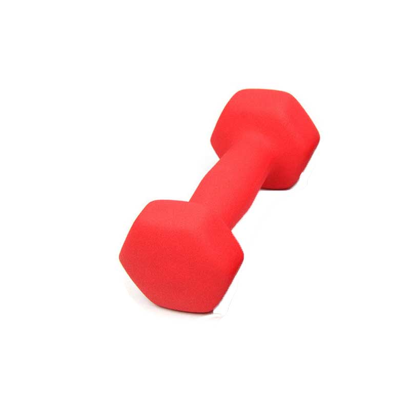 Dumbbells Set - 1kg Paar - Spuitverf Afwerking - Home Fitness Gewichtheffen