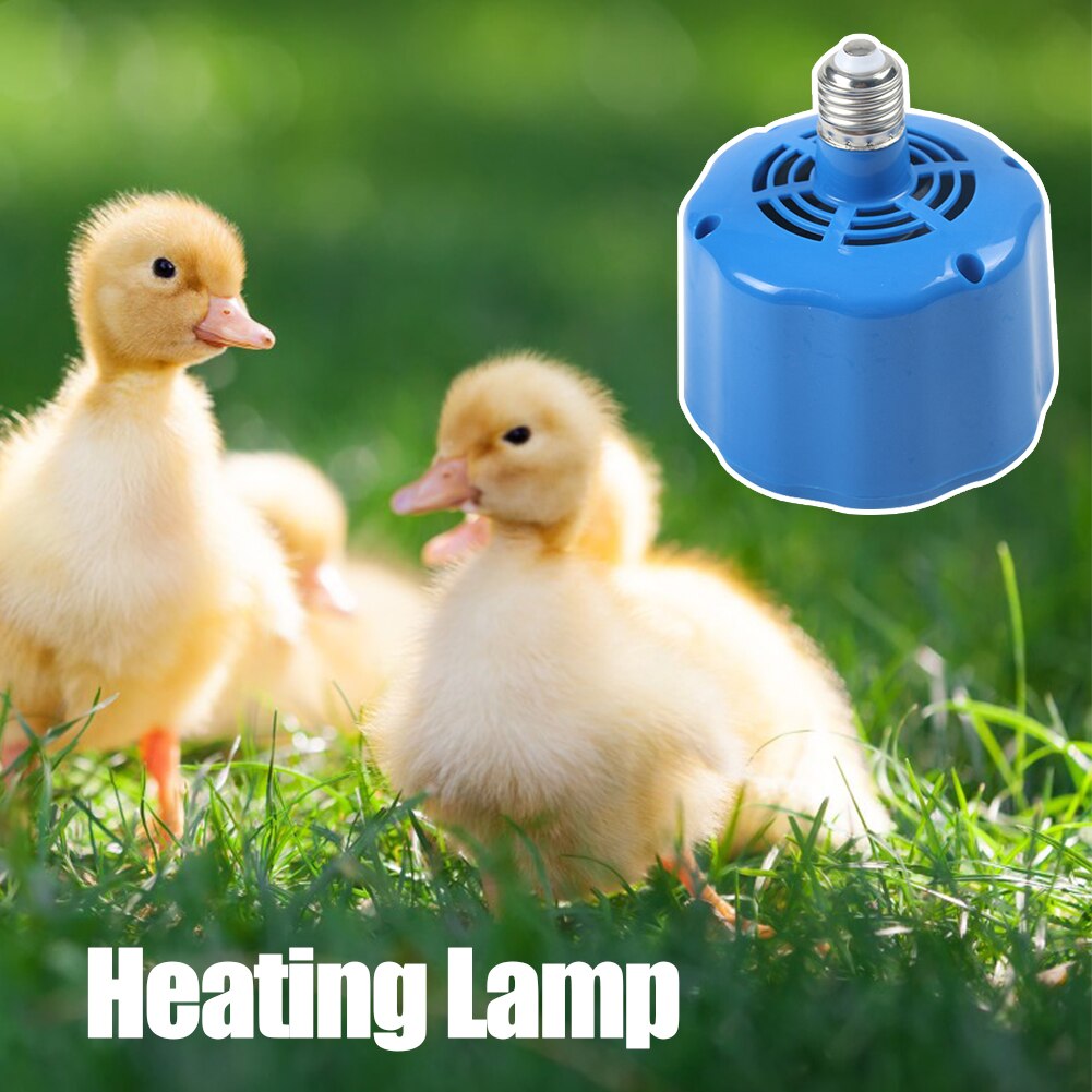 Lampe chauffante pour ferme, 100-300W, E27, 220V, lumière chaude pour cochon, poulet, canard, incubateur, contrôleur de température, fournitures chauffantes