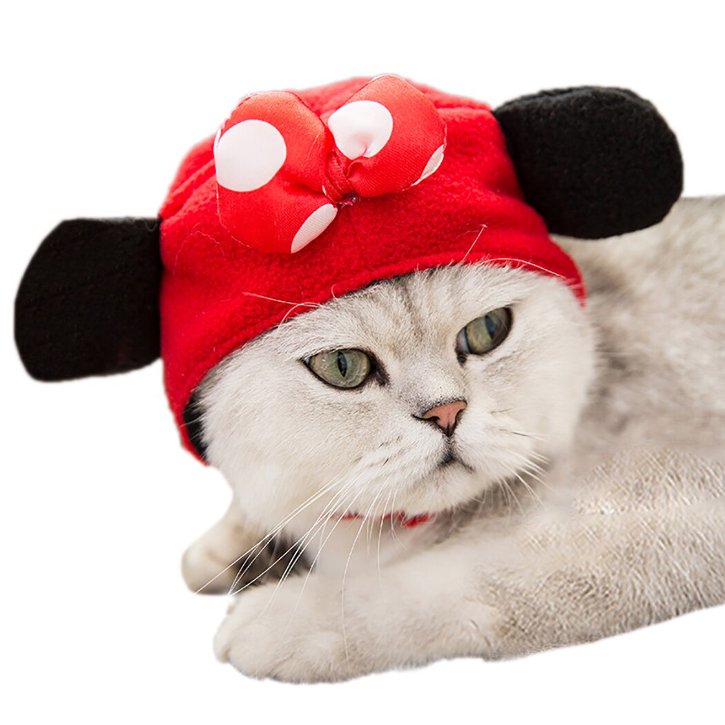 Chapeau et amusant pour chien et chat, Costume pour animal de compagnie, accessoire de déguisement, accessoire de fête
