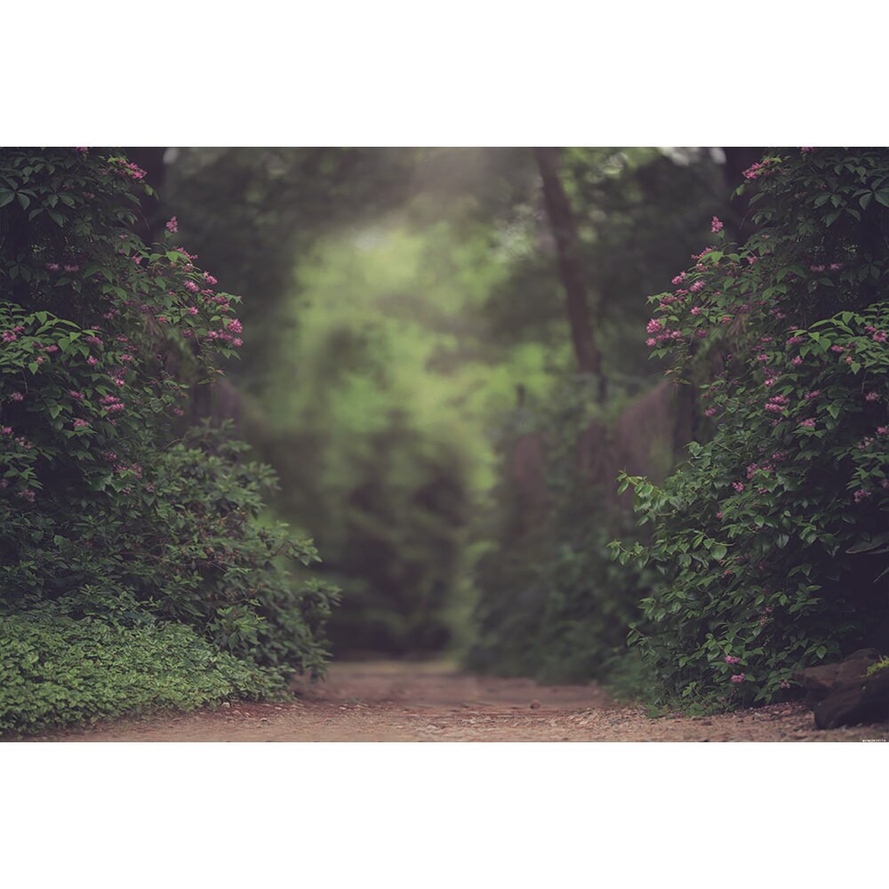 Bokeh conte de fées forêt photographie toile de fond -né bébé anniversaire artistique fond Photo Studio enfants Portrait Photocall: 250x180cm  Polyester