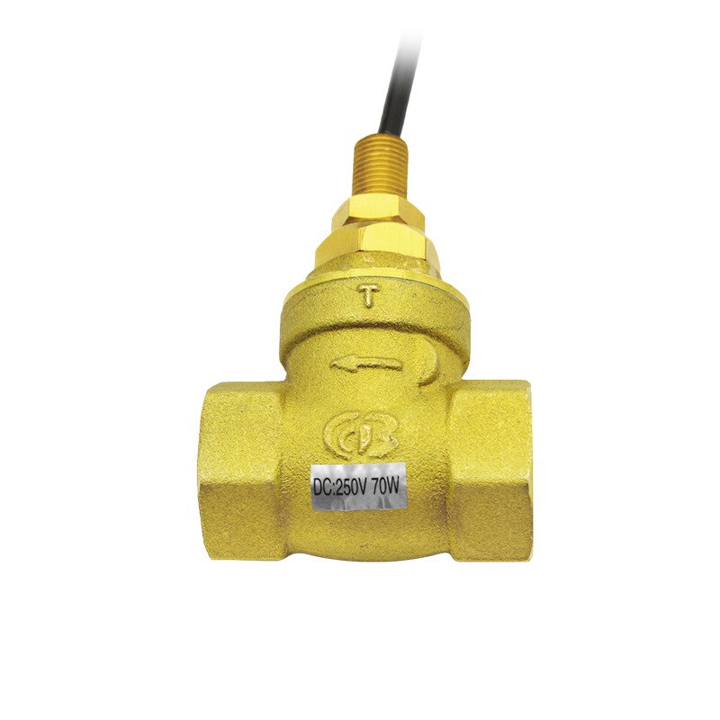 Reed switch principle water flow switch Piston type water flow switch Copper water flow switch Liquid flow switch