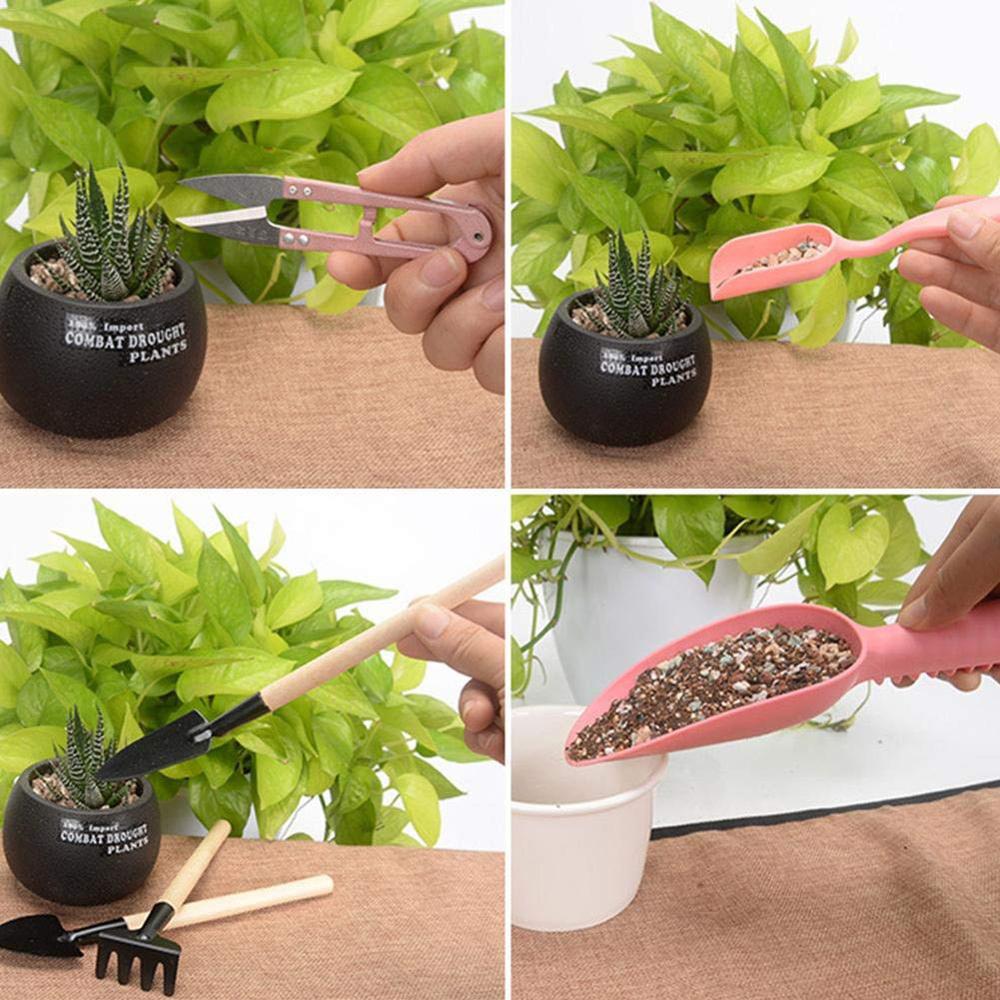 16pcs Succulents Planting Tools Mini Gardening Supplies Mini Gardening Supplies Meat Potted Meaty Tools Hand Tools Set