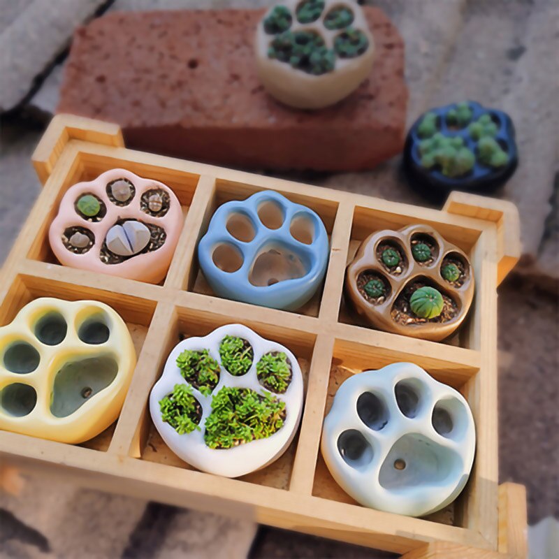 Mooie Multicolor Kat Poot Cement Bloempot Mini Vetplant Container Desktop Thuis Ornament Tuin Planter Kleine