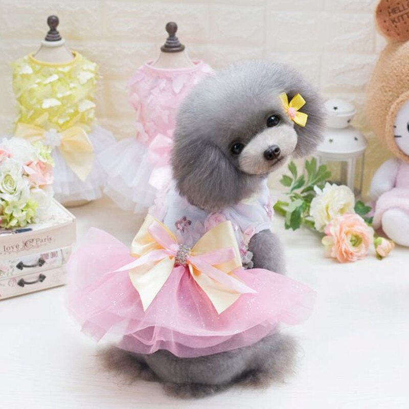 Sommer Felsen Kleine Hund Kleidung SchöNe Kleid Spitze Tüll Ärmellose Jacke Bowknot Chihuahua Yorkshire Pudel Prinzessin Kleid