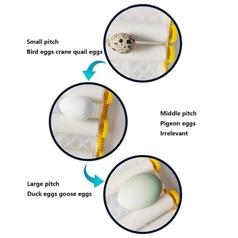 16 Egg Automatic Incubator Brooder 110V/220V DC12V Digital Mini Brooder Machine with Turner Hatcher Chicken Incubation Equipment
