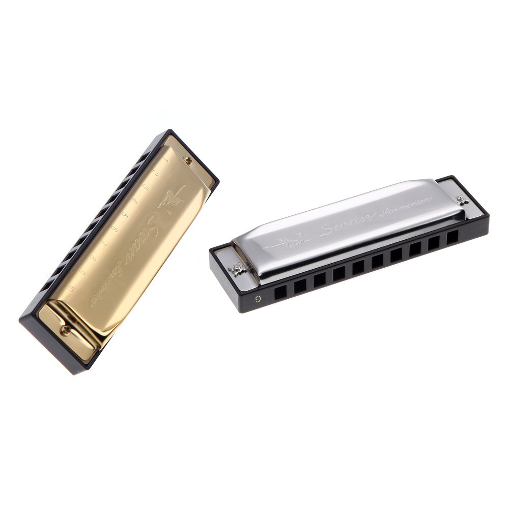 10 Holes Harmonica Diatonic Blues Harp Mouth Organ Key of G Reed with Case Silver Woodwind Instrument