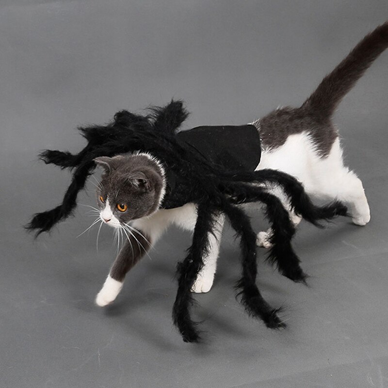 Halloween Katten Cosplay Kostuums Kleine Honden Spider Dressing Up Kleding Horror Lange Bont Benen Grappig Kostuum