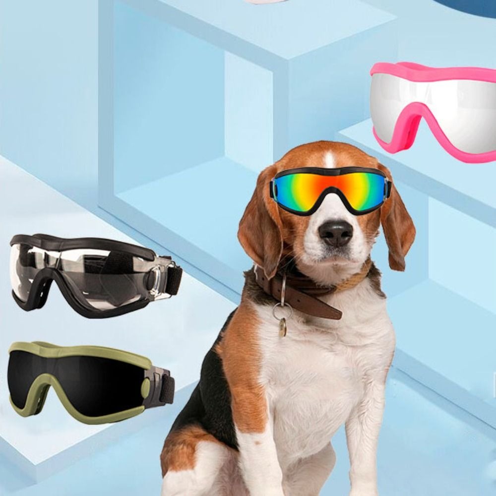Lunettes de soleil pour chien, sangle réglable, résistantes aux UV, imperméables, coupe-vent, Anti-buée, pour animaux de compagnie, voyage