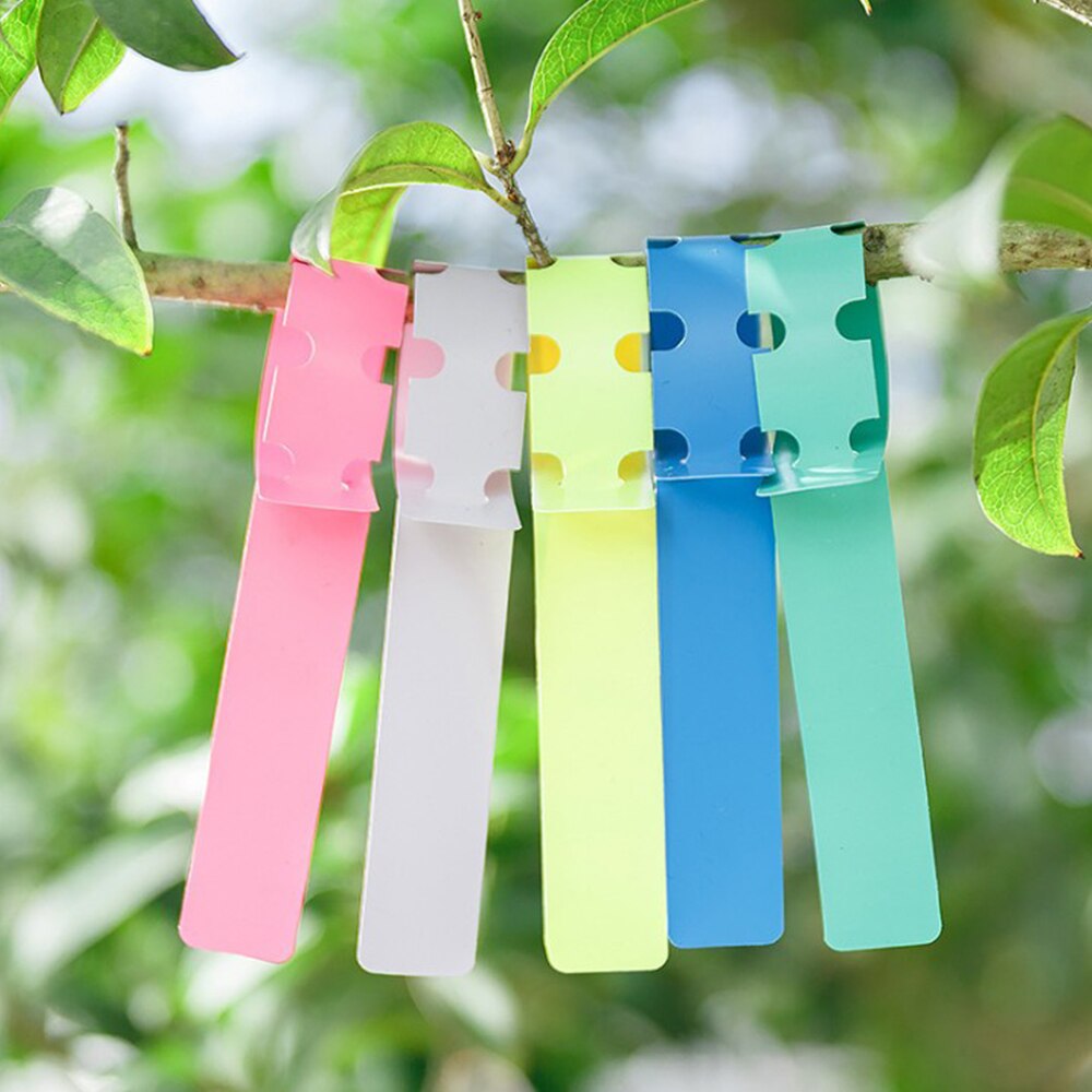 Multi-colori 50pz etichette per piante da vivaio da giardino etichette per alberi appesi strumento di classificazione della carta rapida