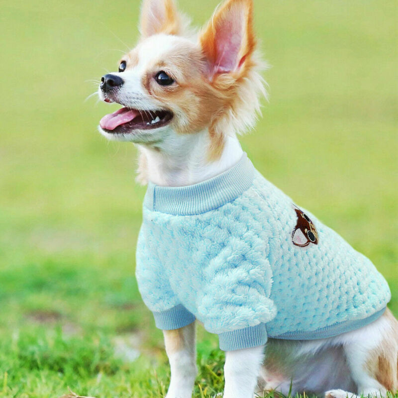 Funny Dog Knitted velvet Hoodies Jumper Chihuahua Blouses Pet Cute Puppy Apparel Dustproof And Clean Clothes Sweater Kitten