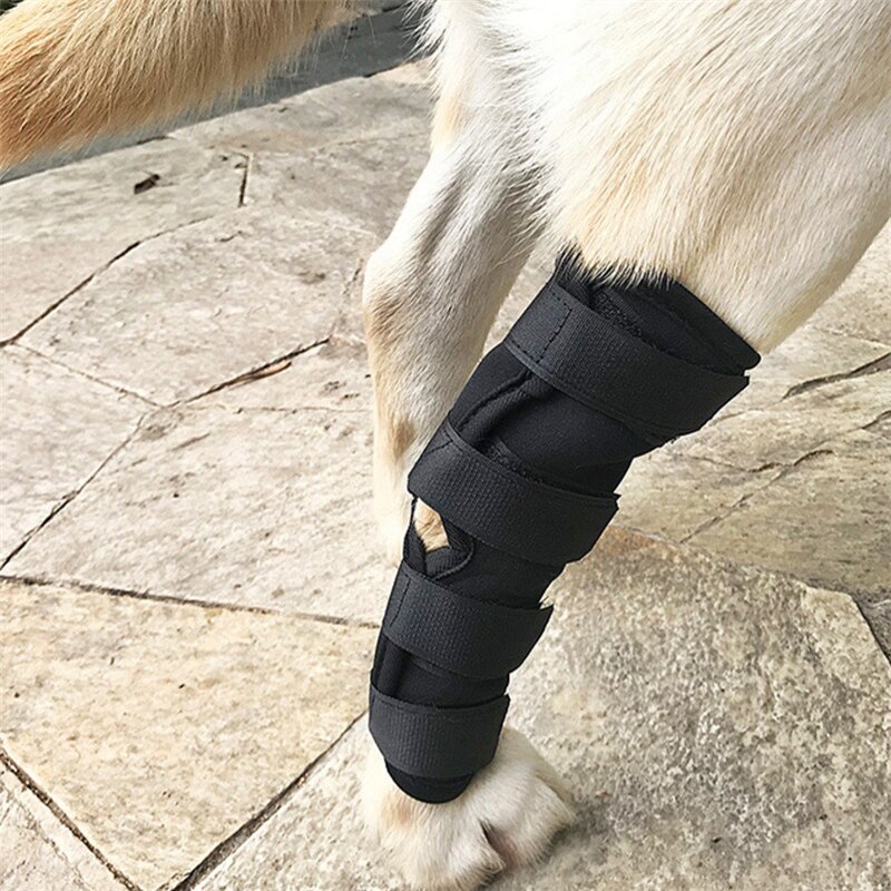2 stk / lot kæledyrs knæpuder hundestøttebøjle til benhock joint wrap åndbar skade gendanne ben hundebeskyttelsesstøtte